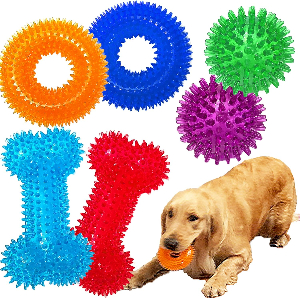 Australian Labradoodle puppy available for adoption — Adorable Labradoodle