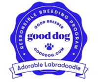 Good Dog Responsible Breeder