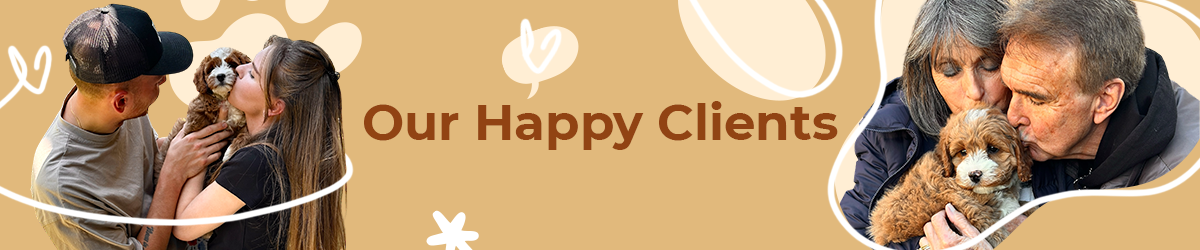 Adorable Labradoodle happy client review